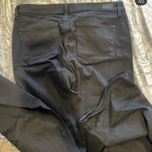 Brand new Paige jeans